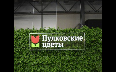 Несветовой планшет Пулковские Цветы, выставка в Ленэкспо