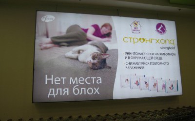 Магазин зоотоваров Cats&Dogs, г. Москва, ТЦ Золотой Вавилон